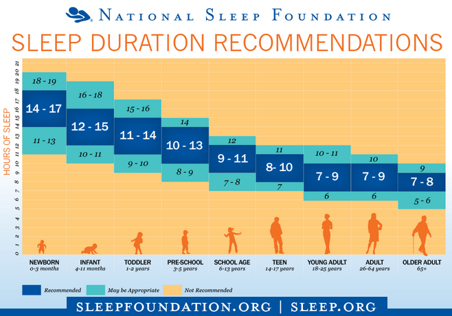 amount of sleep needed